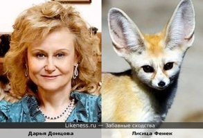 Прикольные сходства