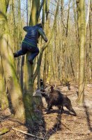 И только охотники поняли, что это - не свинка, и что фото - не из смешных.