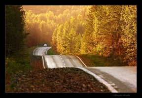 Большинство дорог России))):