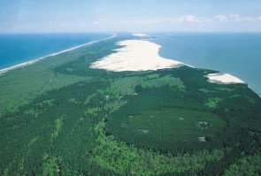 Калининградская область Курская коса