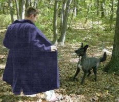 Вот что случается, когда вы просите не того человека "помочь с фотошопом"