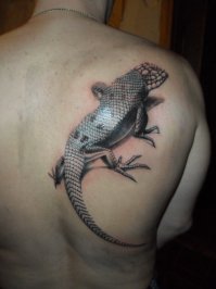 А вот моя скромная татуха. Били сперва два дня: в первый день 7 часов, во второй день 5 часов. Потом через 5 месяцев коррекция 4 часа. В принципе доволен. Татуировки люблю, прошу не пинать не любителей.