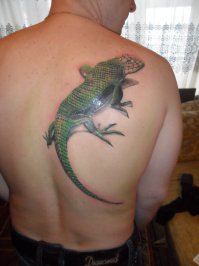 А вот моя скромная татуха. Били сперва два дня: в первый день 7 часов, во второй день 5 часов. Потом через 5 месяцев коррекция 4 часа. В принципе доволен. Татуировки люблю, прошу не пинать не любителей.