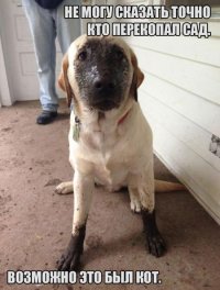 То неловкое чувство, когда