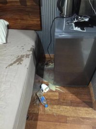 Из этой фотки надо отдельный пост запилить.Это же такое редкое явление.