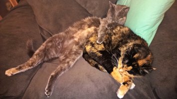 Часть наших отдыхает :)