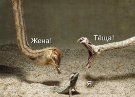 Он еще не всех родственников в лицо знает))