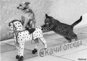 Чукча даже не читатель?
"Так Котовский Григорий в биографии со временем стал известной личностью в бандитских кругах." и далее
.