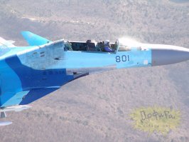 30 самых неожиданных случаев