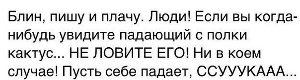 Картинки с надписями