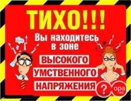 Шедевральные фотографии из социальных сетей