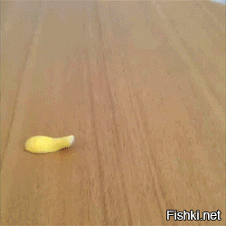 Просто плывущие бананы