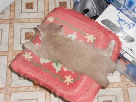 Наглые, даже в детстве.