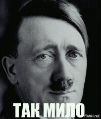 Засветы невест