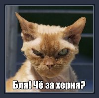 4 убойные статьи из Краткой, насколько это возможно в данном случае, Еврейской Энциклопедии