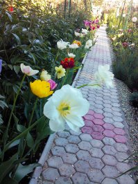 так как то ..уже 5ый год