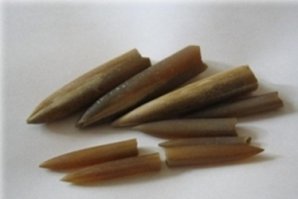 в Хаджохе амониты можно не только в музее увидеть, а так же по дороге туда пересекая реку по мосту, их довольно много намыло водой, еще можно обнаружить такой артефакт "чёртов палец" .