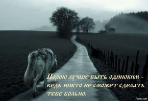 Перепост: NO GAME WITH PIGEONS