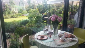 Не много стекла в доме и зелени не повредит. Пока завтракал с сыном читал ваш пост