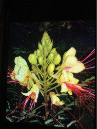 Как то так...