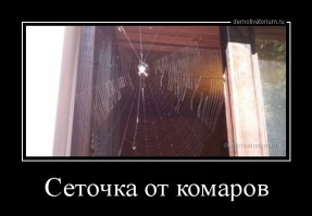 Натуральные экстракты против комаров