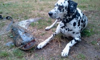 И снова о рыбалке