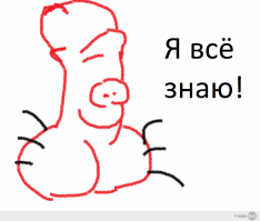 Главные загадки русского языка 