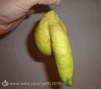 Проделки природы: самые причудливые формы овощей и фруктов
