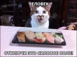 Не задавай вопросов, человек. Просто помоги