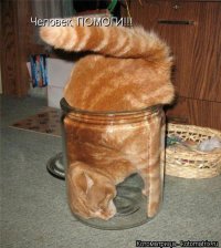 Не задавай вопросов, человек. Просто помоги