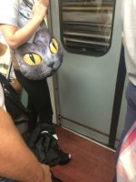 Классная же сумка;)