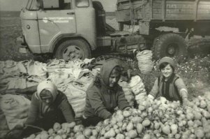 А здесь случайно не кабина КАЗа "Колхида"просматривается?  «Страшнее волка или рыси — автомобиль из Кутаиси».)))