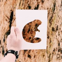 У бобра в лапе кинжал :)