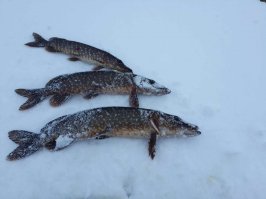 И снова о рыбалке