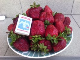 Фотоподборка за 27.06.2016