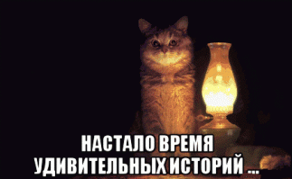 Я не верил но лимон все таки вырос!