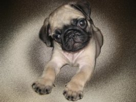 Просто поменять фон и...