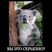 Смешные картинки