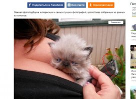 кто то заметил что телефон ели живой?