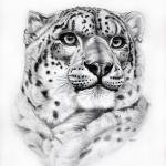 Зачет, а вот моя.