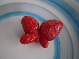 У нас тоже была типа бабочка))