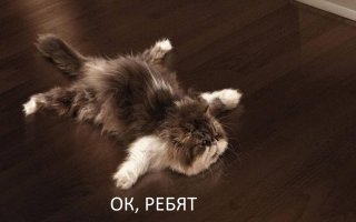 20 фактов о знаменитостях, которые они хотели бы сохранить в тайне