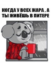 В Питере - Пить !