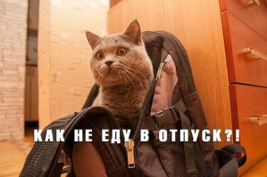 А некоторые нигде не отдыхают, пашут без отдыха