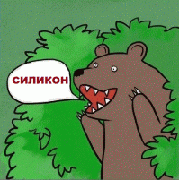 10 знаменитостей с самой дорогой искусственной грудью