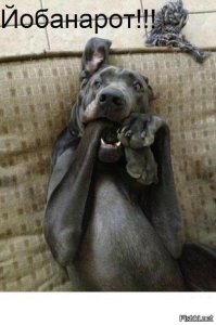 Свадебные фото из разряда "так делать нельзя"