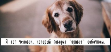 Чёрт, кто меня сдал?