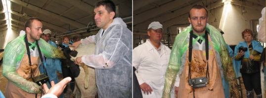 Недоволен своей работой? Посмотри, чем люди зарабатывают 