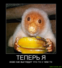 Официально названа самая уродливая собака в мире