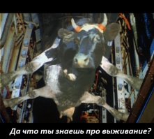 "Жить захочешь - и не так раскорячишься"